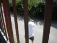 /album/fotogaleria/enzo-cup-2012-048-jpg/